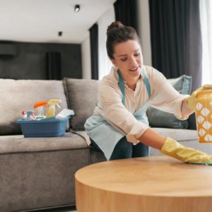 Limpieza de Hogar por Horas